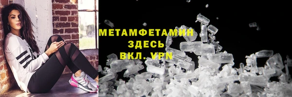 ГАЛЛЮЦИНОГЕННЫЕ ГРИБЫ Козловка