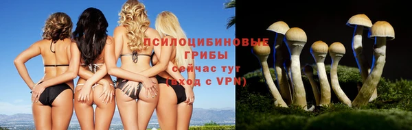 синтетический гашиш Кодинск
