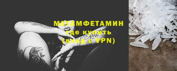 ГАЛЛЮЦИНОГЕННЫЕ ГРИБЫ Козловка