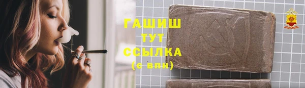 ГАЛЛЮЦИНОГЕННЫЕ ГРИБЫ Козловка