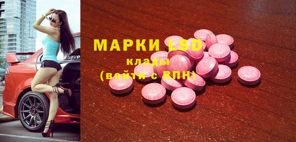 ГАЛЛЮЦИНОГЕННЫЕ ГРИБЫ Козловка