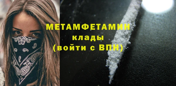 ГАЛЛЮЦИНОГЕННЫЕ ГРИБЫ Козловка