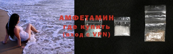 ГАЛЛЮЦИНОГЕННЫЕ ГРИБЫ Козловка