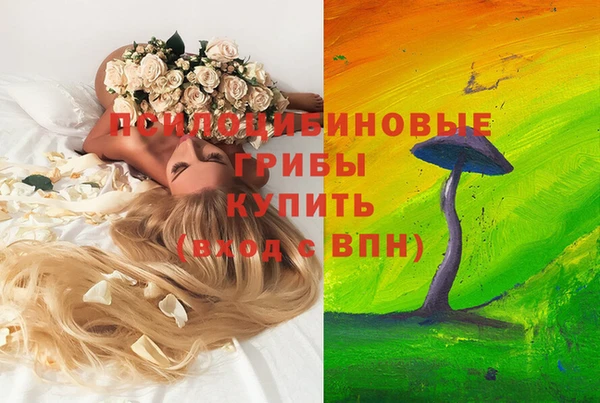 винт Козельск