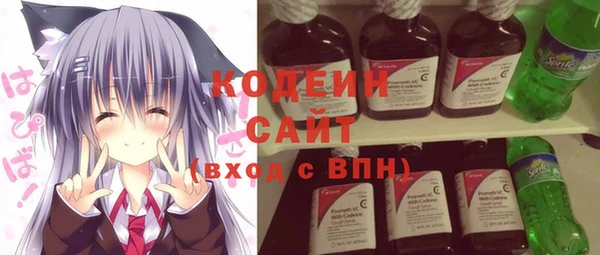 ГАЛЛЮЦИНОГЕННЫЕ ГРИБЫ Козловка